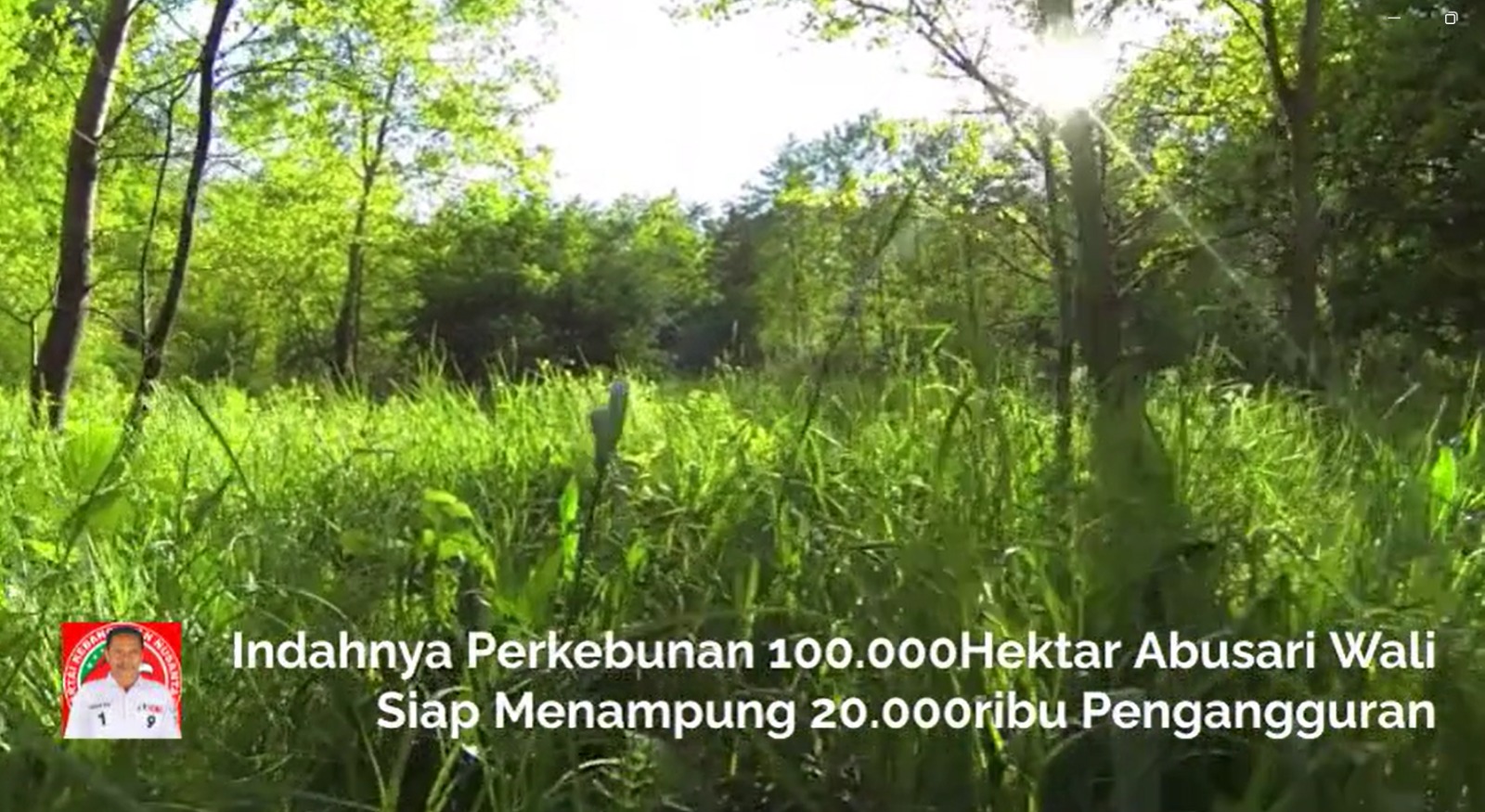 Perkebunan 100.000 Hektar Milik Abusari Wali Caleg DPR RI Dapil Provinsi Sulawesi Tenggara, Siap Menampung 20.000 Pengangguran